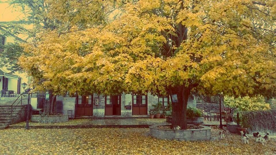 Villa Armonia Neochori  Bagian luar foto